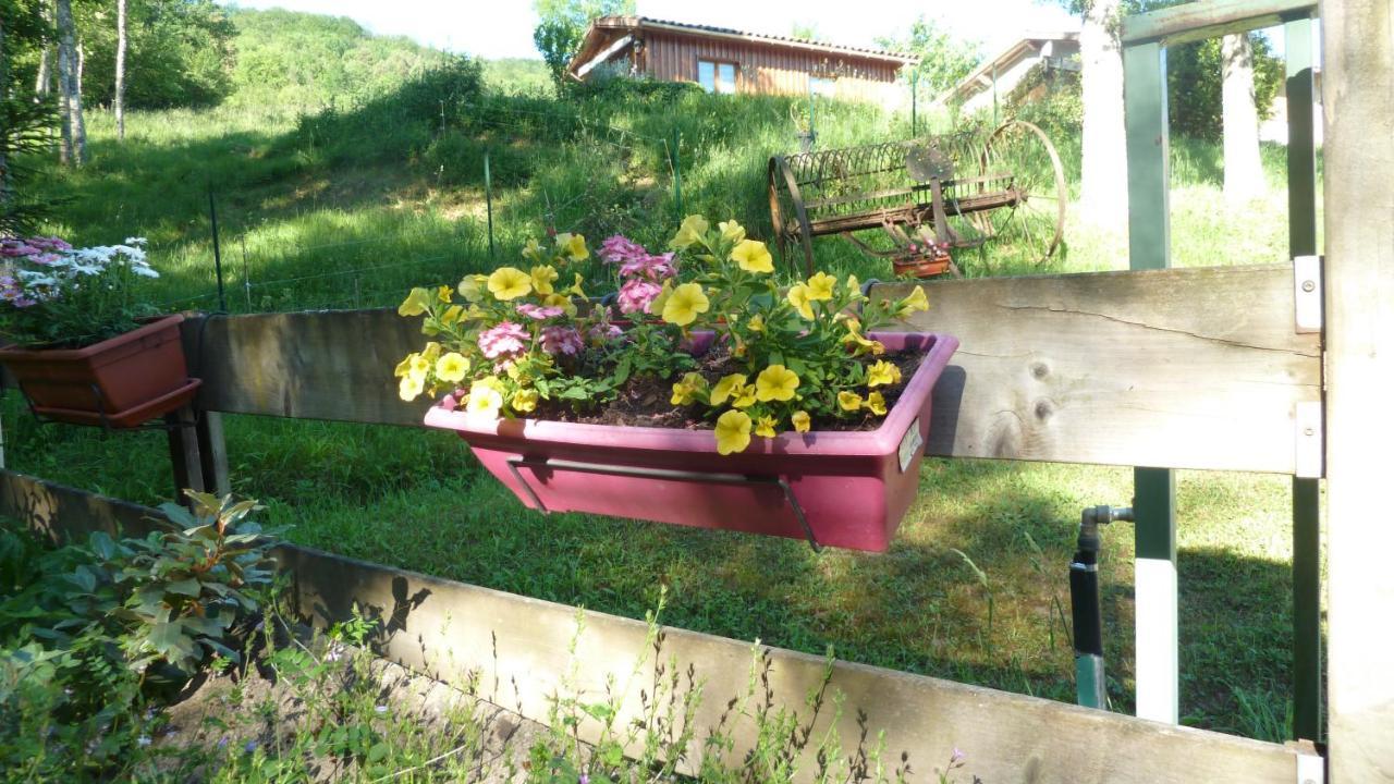 Gite La Lanterne Transition Ecologique Avec Borne De Recharge 7Kw Site Sous Video Protection Nalzen Bagian luar foto