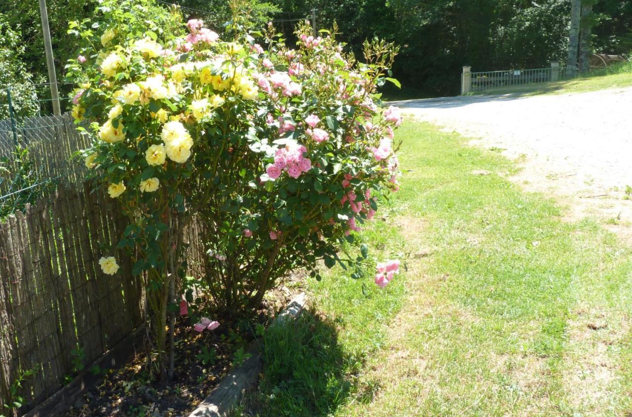 Gite La Lanterne Transition Ecologique Avec Borne De Recharge 7Kw Site Sous Video Protection Nalzen Bagian luar foto