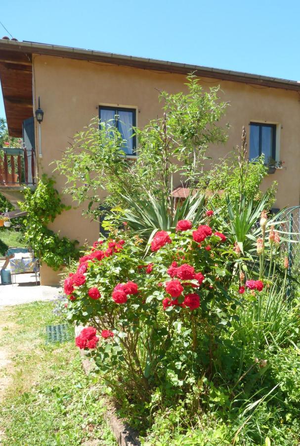 Gite La Lanterne Transition Ecologique Avec Borne De Recharge 7Kw Site Sous Video Protection Nalzen Bagian luar foto